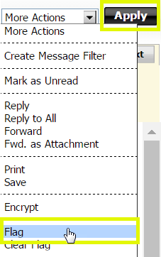 Flag an email