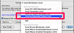 Choose option that adds CVS file extension