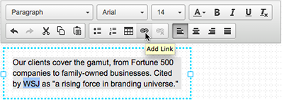 Click the chain icon to link the selected text