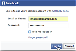 Log in to Facebook
